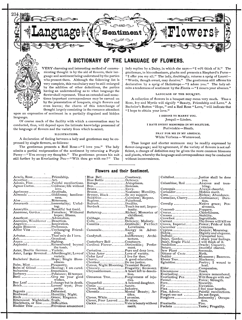 Flower meanings in 1878