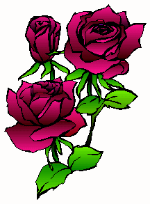 Copy Right Springs Flowers, Florists of Colorado Springs Rose